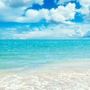 Meet your Posher, Nina